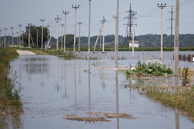 Вводная картинка