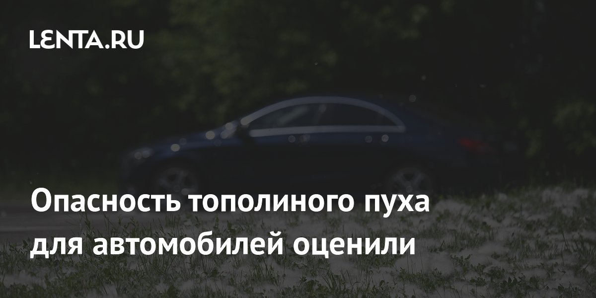 Опасность тополиного пуха для автомобилей оценили
