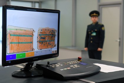 Пассажира рейса из Дубая задержали в российском аэропорту с 