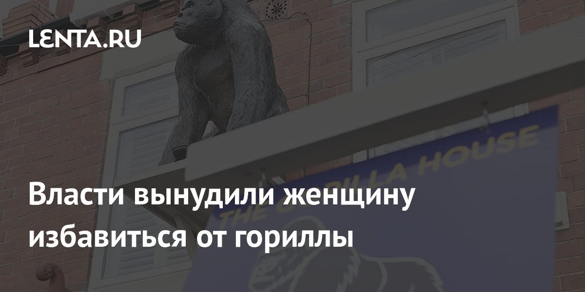 Власти вынудили женщину избавиться от гориллы