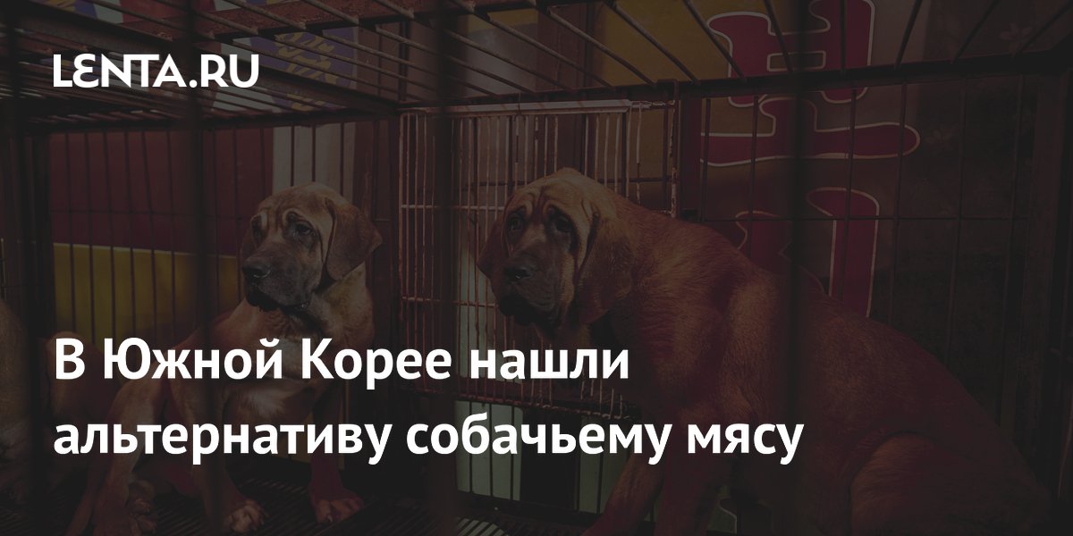 В Южной Корее нашли альтернативу собачьему мясу
