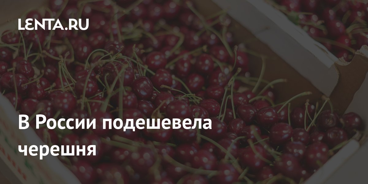 В России подешевела черешня