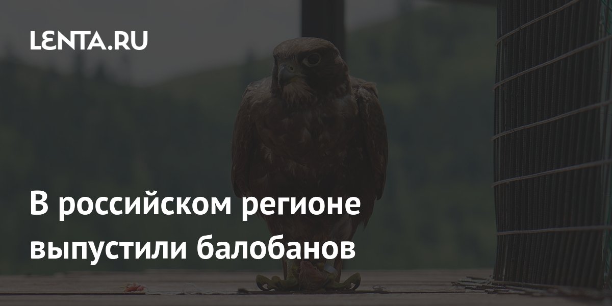 В российском регионе выпустили балобанов