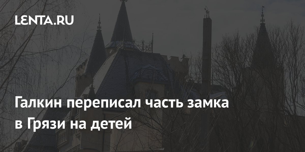 Галкин переписал часть замка в Грязи на детей