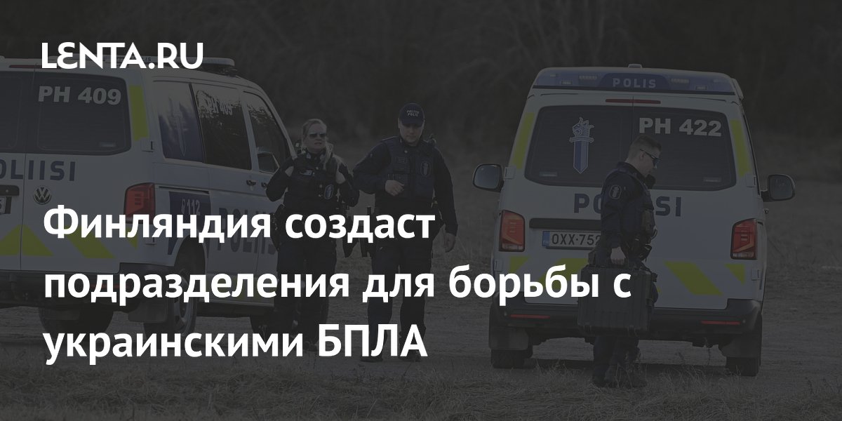 Финляндия создаст подразделения для борьбы с украинскими БПЛА