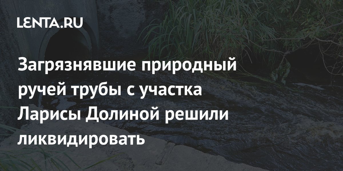 Загрязнявшие природный ручей трубы с участка Ларисы Долиной решили ликвидировать