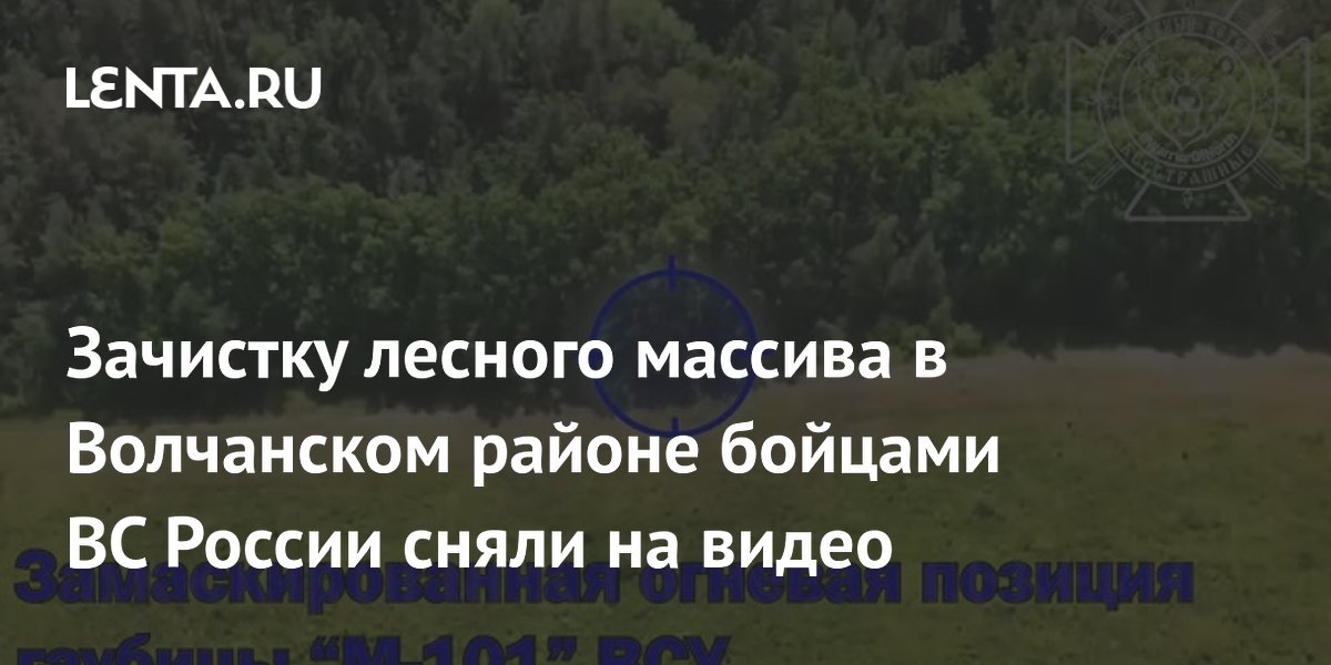 Зачистку лесного массива в Волчанском районе бойцами ВС России сняли на видео