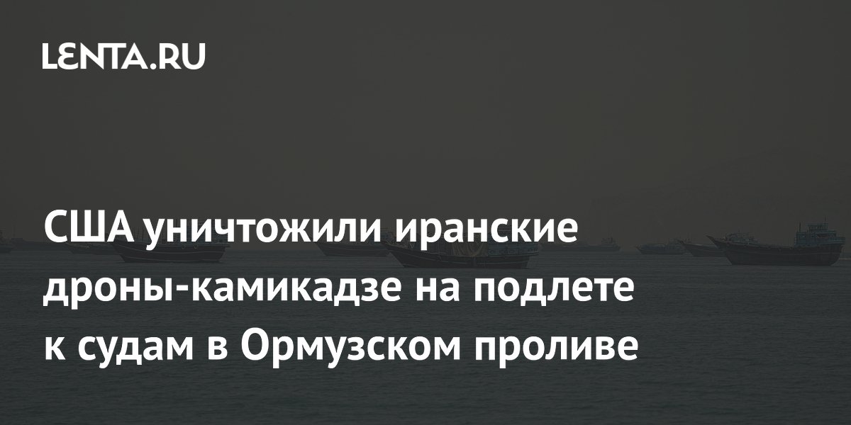 США уничтожили иранские дроны-камикадзе на подлете к судам в Ормузском проливе