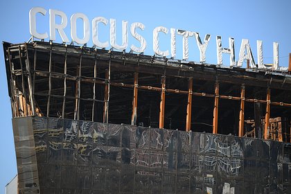 Стало известно о задержании пособника напавших на &laquo;Крокус Сити Холл&raquo; террористов