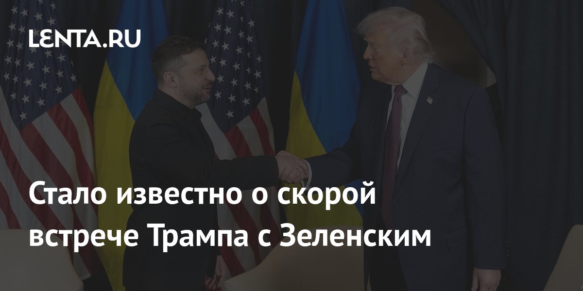 Стало известно о скорой встрече Трампа с Зеленским