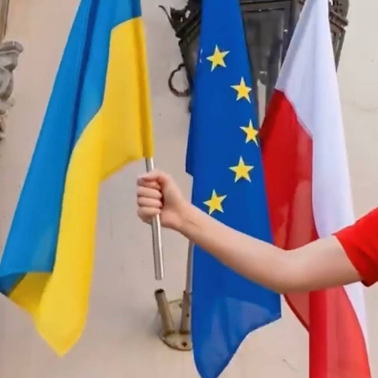 Кандидат на пост мэра Кракова опубликовала провокационное видео с украинским флагом