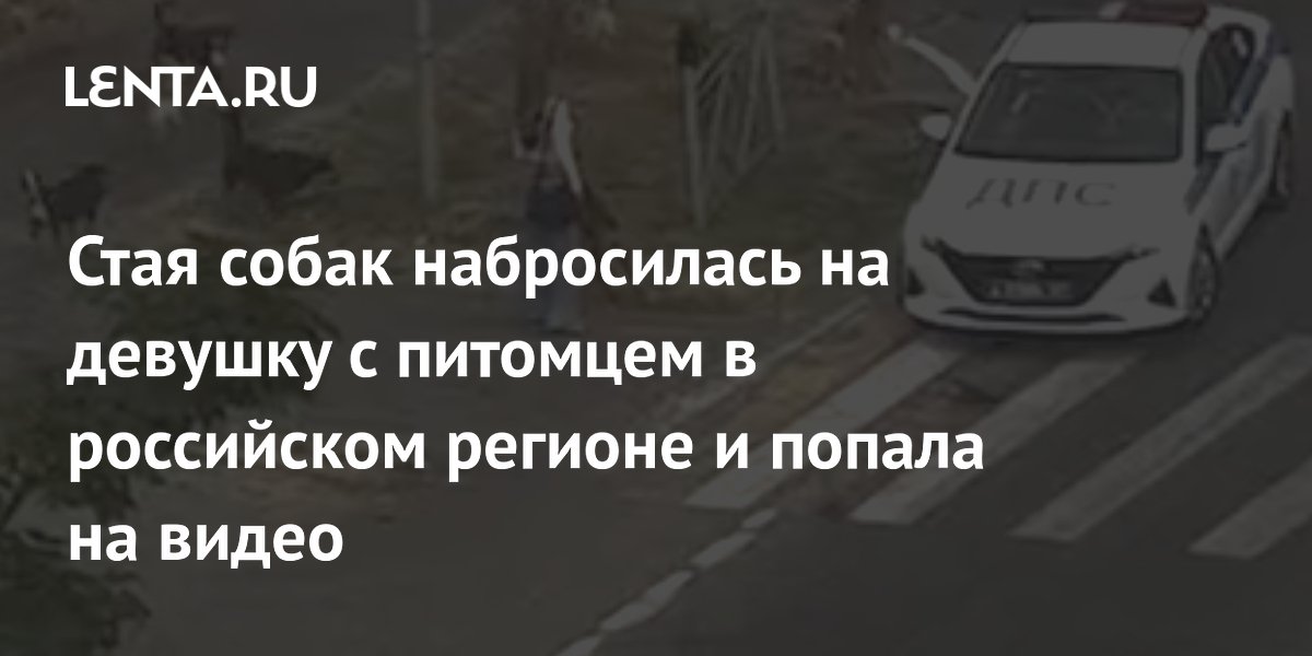 Стая собак набросилась на девушку с питомцем в российском регионе и попала на видео
