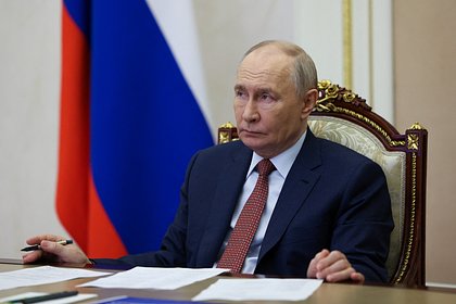 Путин оценил бойцовские качества Трампа