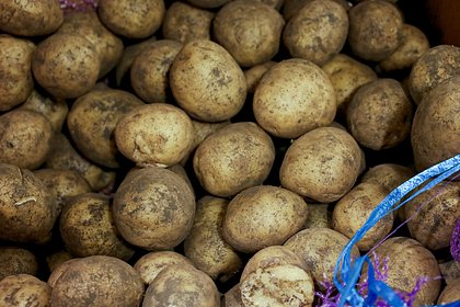 Некоторые продукты питания в России подешевели