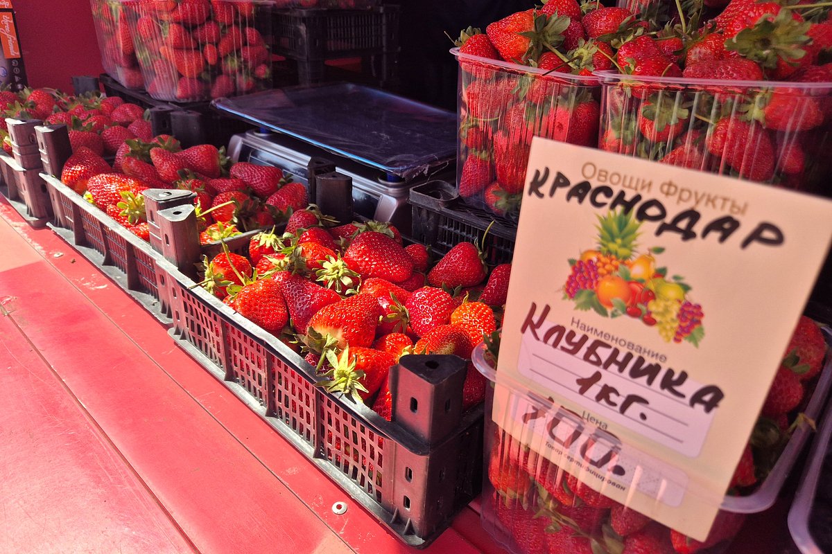 В июне начинается сезон российской клубники