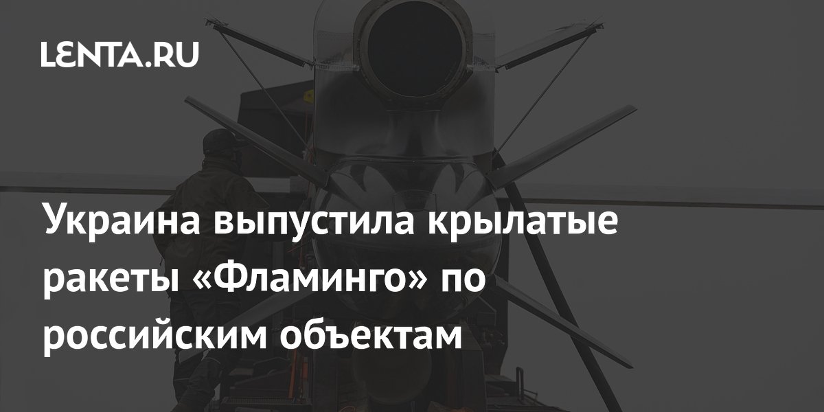 Украина выпустила крылатые ракеты «Фламинго» по российским объектам
