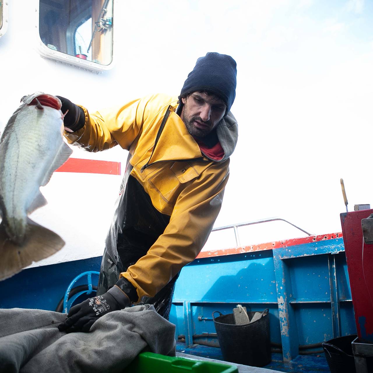 Россия оказалась лидером по поставкам одного вида продукции в Европу