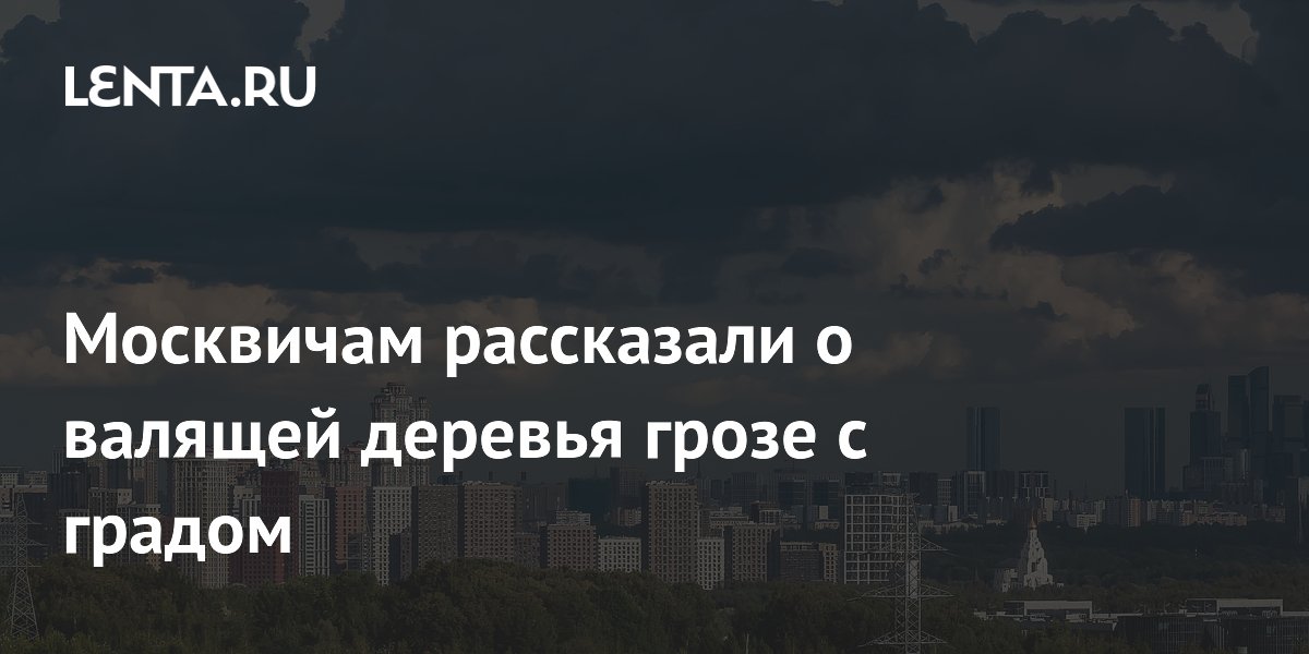 Москвичам рассказали о валящей деревья грозе с градом