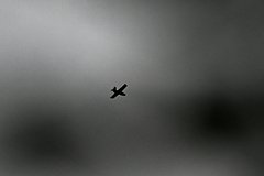 news_image 