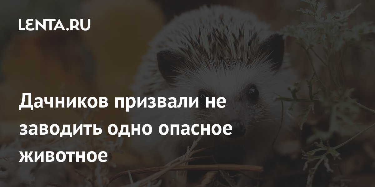 Дачников призвали не заводить одно опасное животное