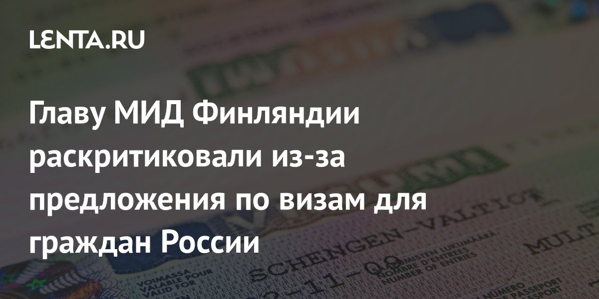 Главу МИД Финляндии раскритиковали из-за предложения по визам для граждан России