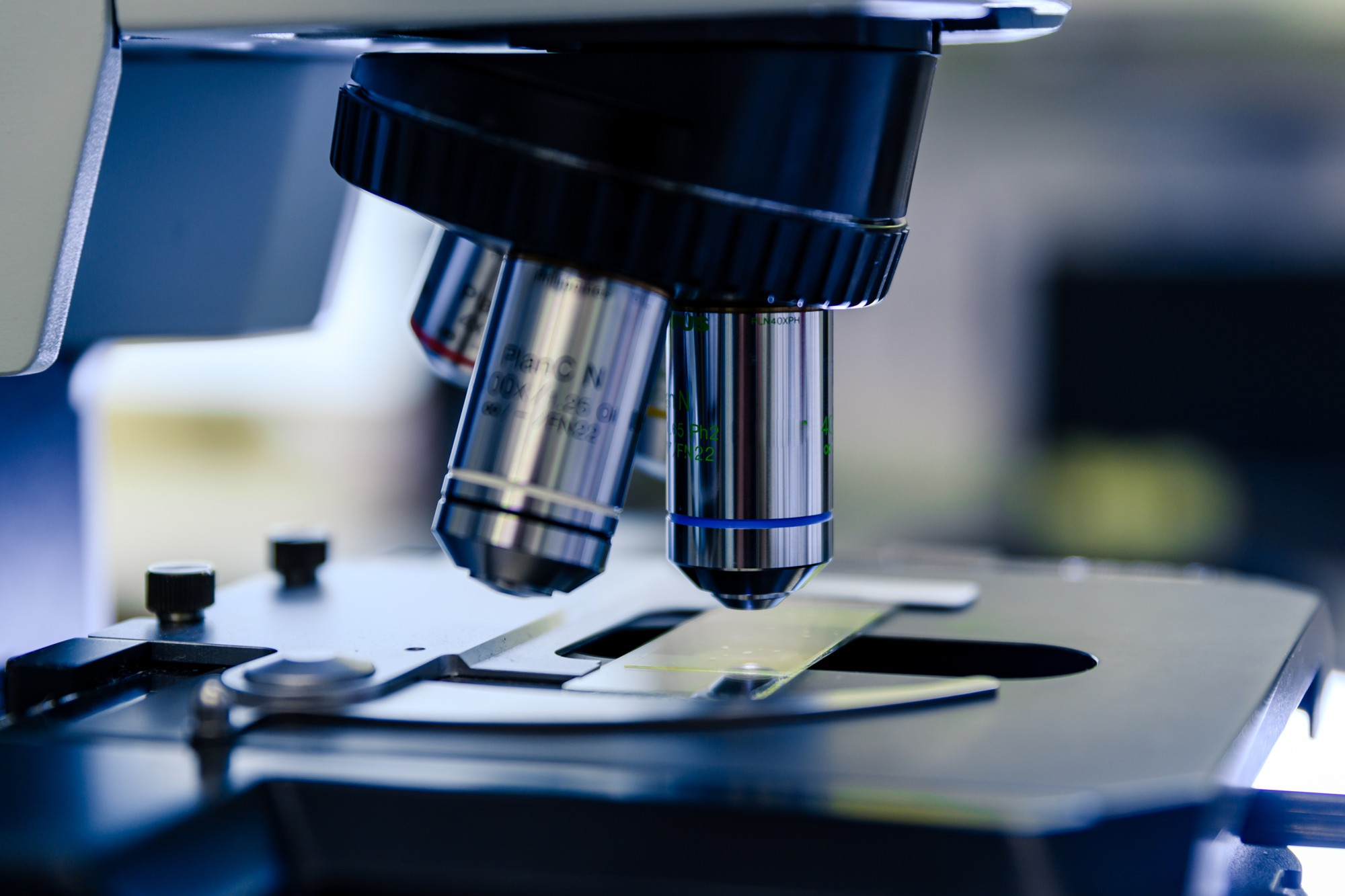 �������&nbsp; ���������� ���� �������� ���� ������� �������