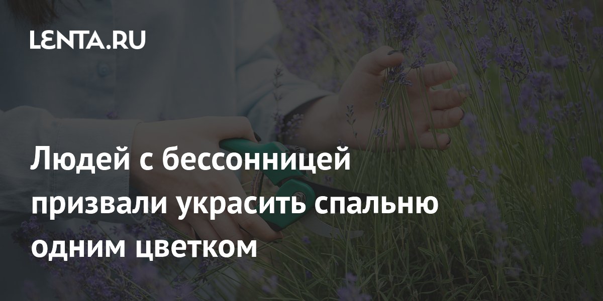 Людей с бессонницей призвали украсить спальню одним цветком