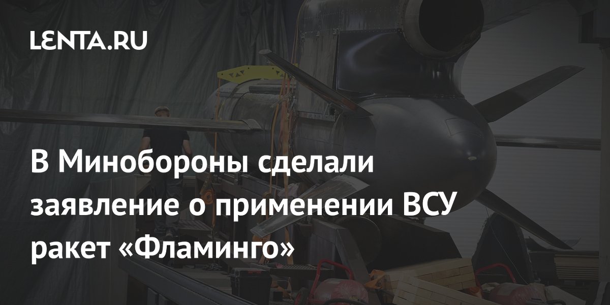 В Минобороны сделали заявление о применении ВСУ ракет «Фламинго»