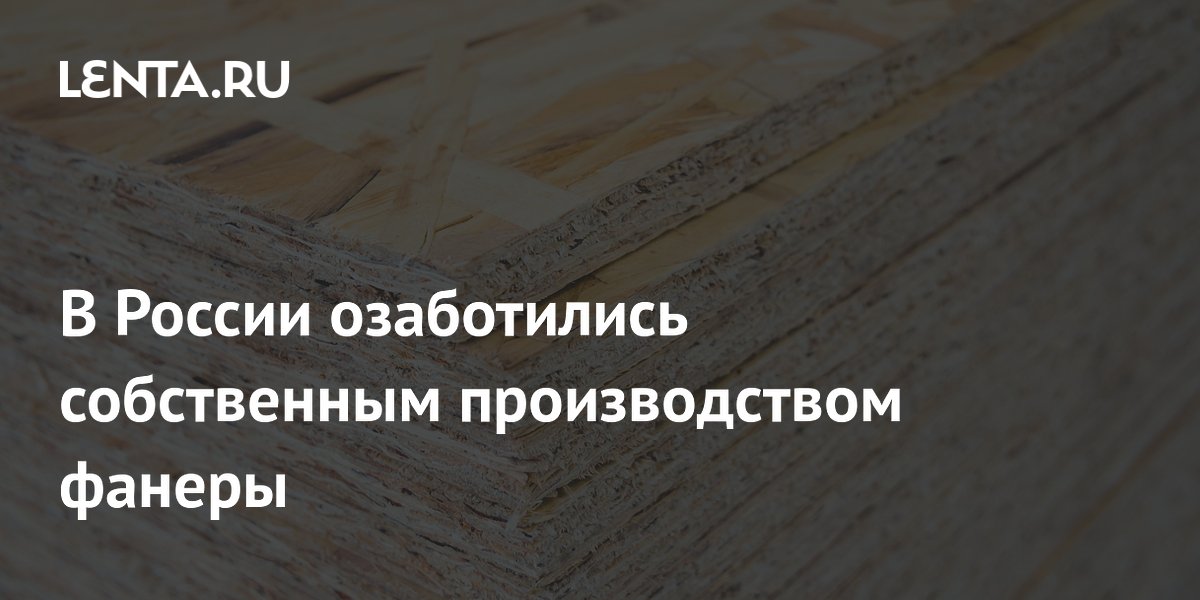 В России озаботились собственным производством фанеры