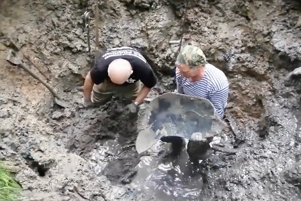Вводная картинка