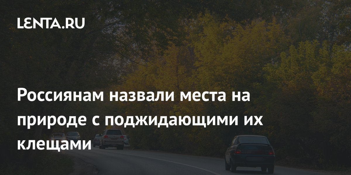 Россиянам назвали места на природе с поджидающими их клещами