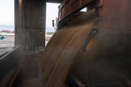 Постсоветская республика откажется от российской пшеницы