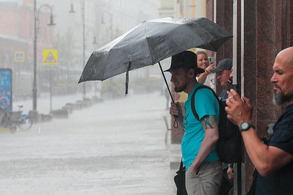 Москвичам предсказали срок прекращения дождей