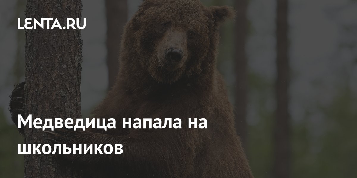 lenta-ru