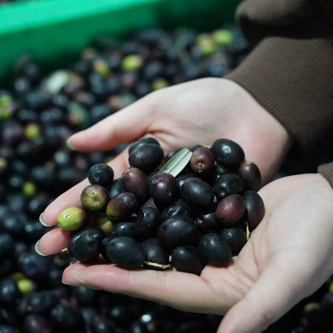 Страна НАТО резко сократила поставки одного вида продукции в Россию