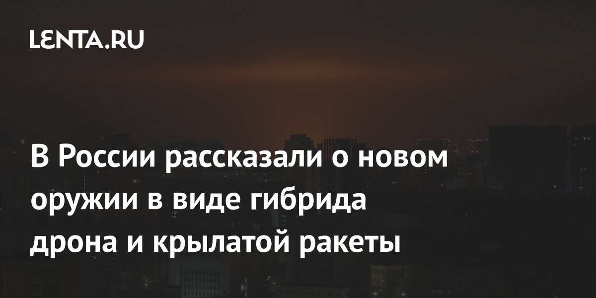 В России рассказали о новом оружии в виде гибрида дрона и крылатой ракеты