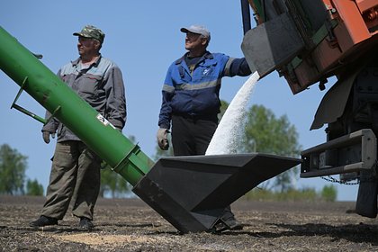 Глобальная торговля удобрениями обрушилась