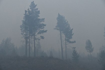 Российские регионы затянуло плотным дымом