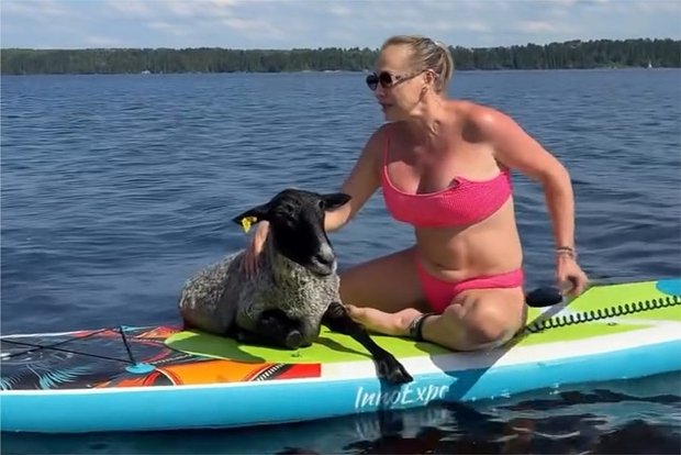 Вводная картинка