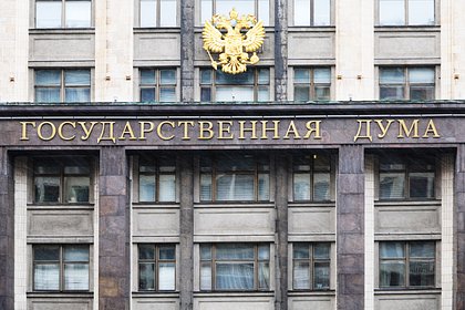 В Госдуме допустили состояние невменяемости у напавшего на посетителей торгового центра