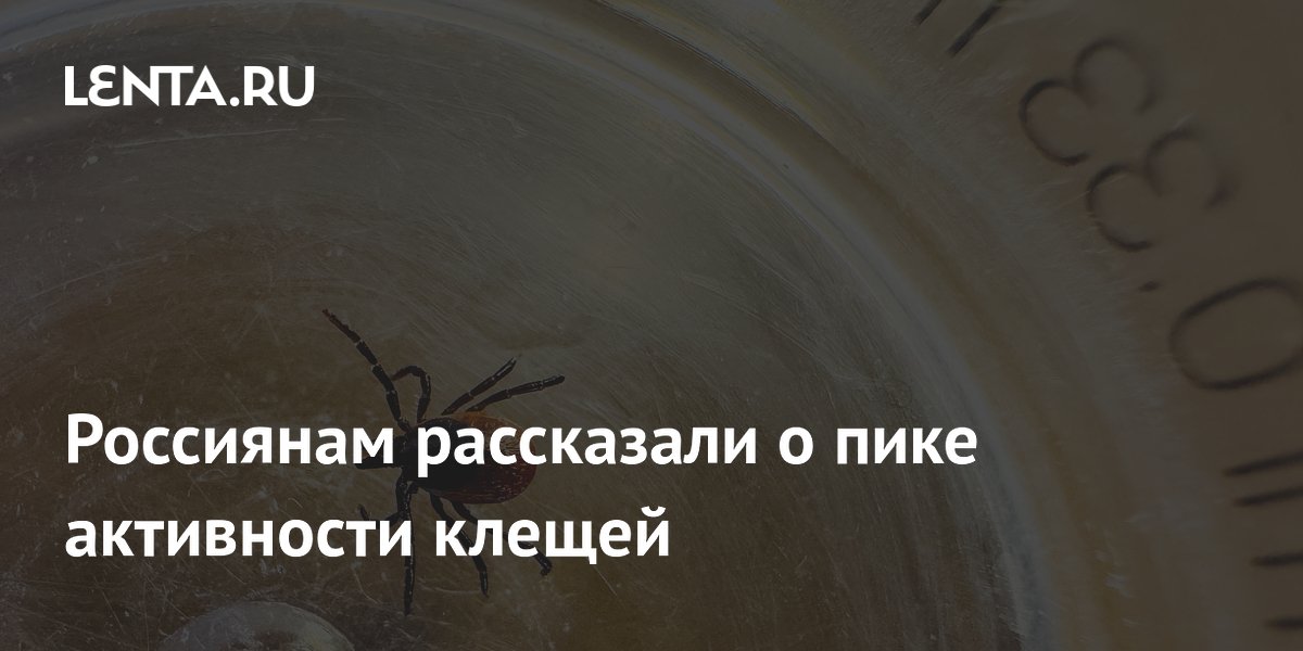 Россиянам рассказали о пике активности клещей