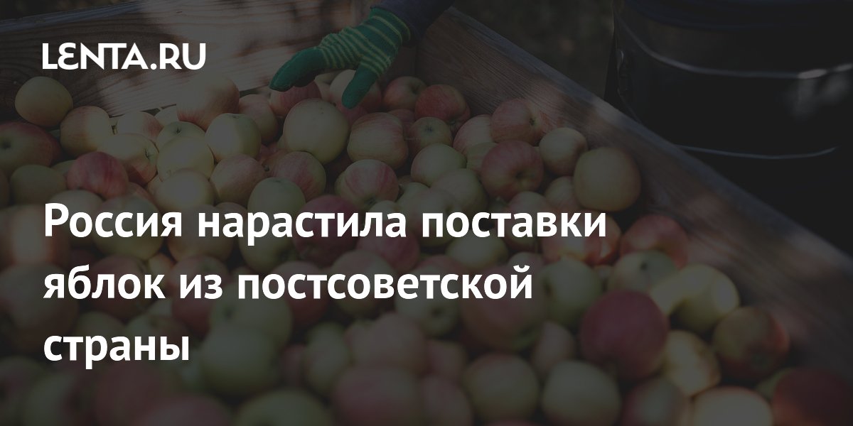 Россия нарастила поставки яблок из постсоветской страны