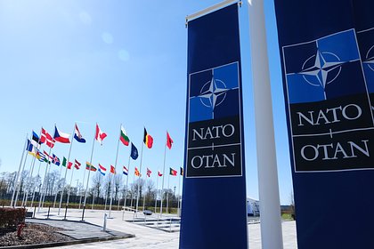 На Западе выступили с обвинениями в адрес НАТО из-за решений по Украине