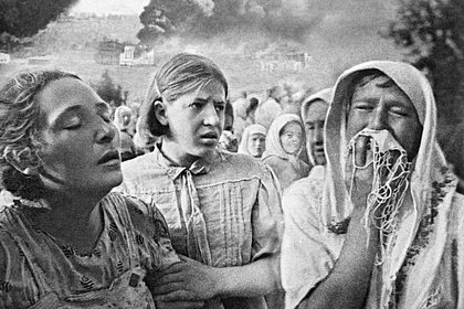 Володин призвал принять один закон во всех странах-участницах Великой Отечественной войны