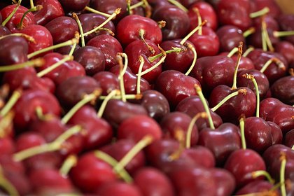 Россиян предупредили о риске диареи из-за летней ягоды