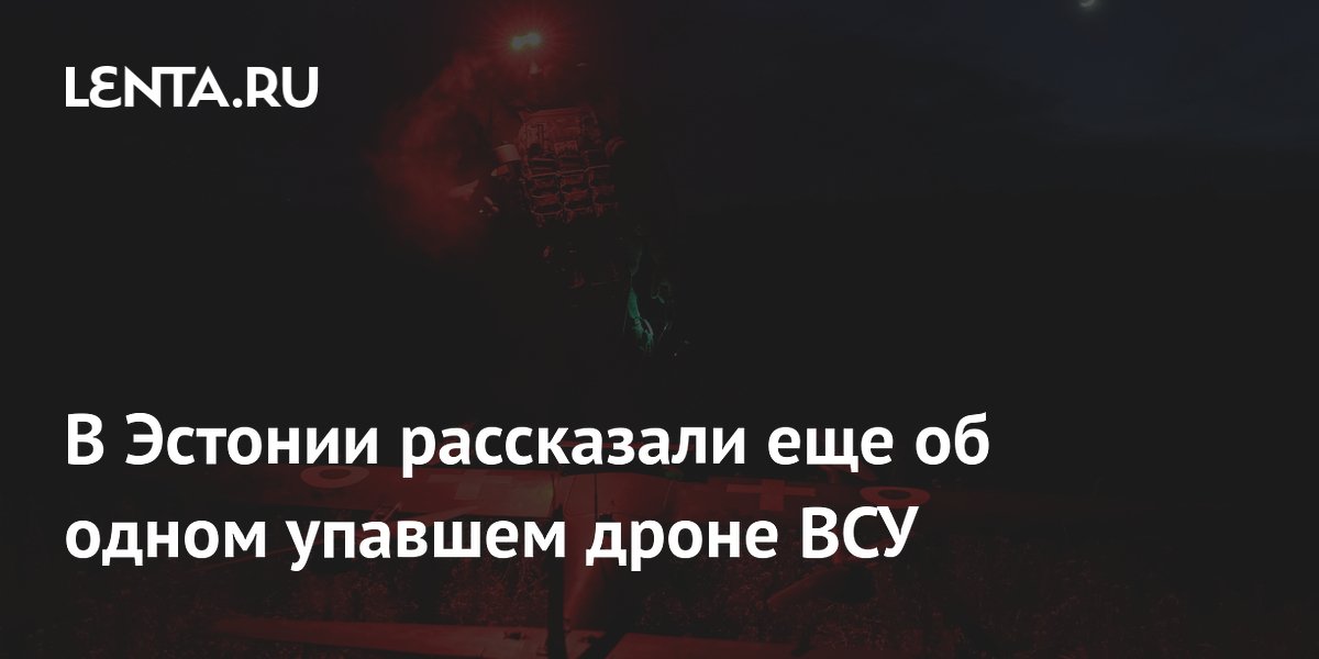 В Эстонии рассказали еще об одном упавшем дроне ВСУ