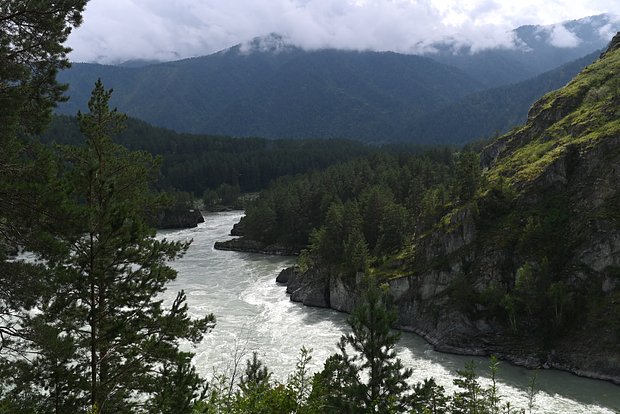 Вводная картинка