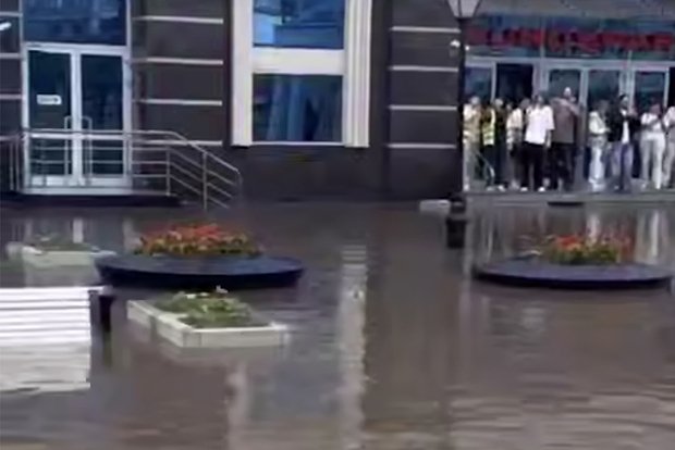 Вводная картинка