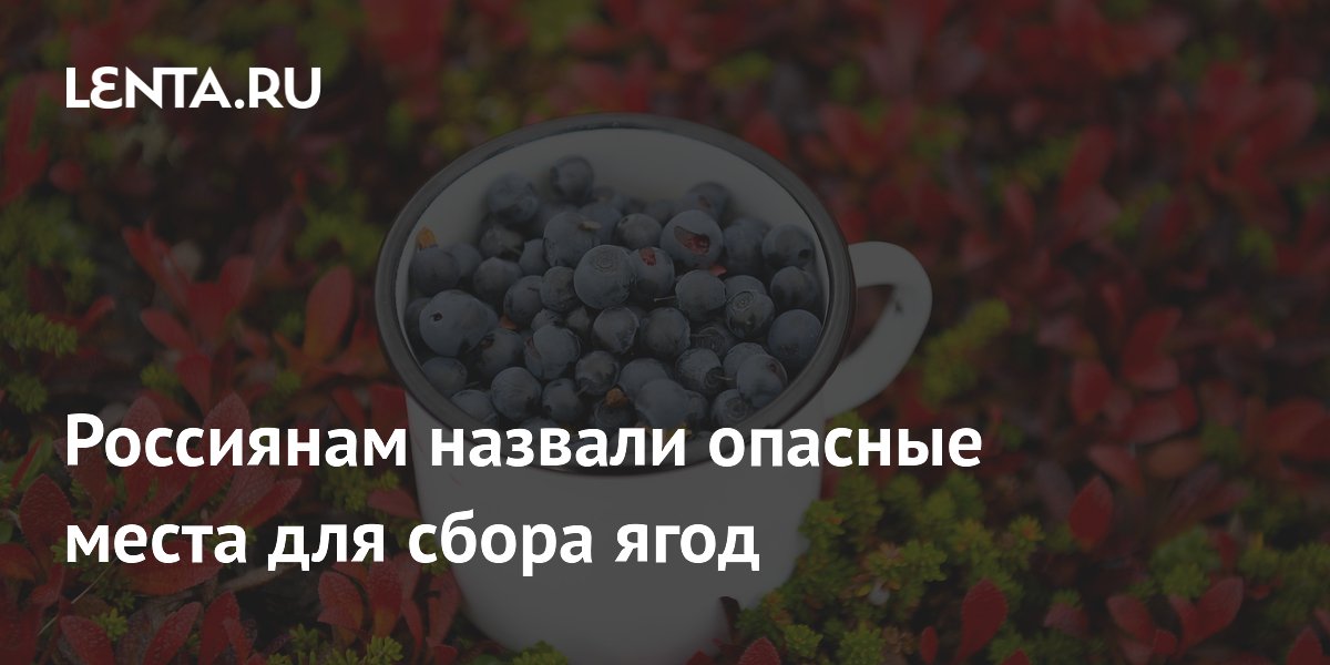 Россиянам назвали опасные места для сбора ягод