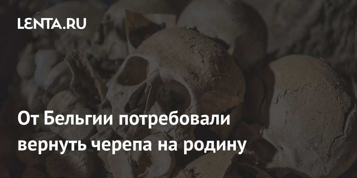 От Бельгии потребовали вернуть черепа на родину
